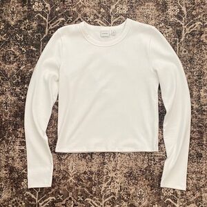Aritzia long sleeve tee